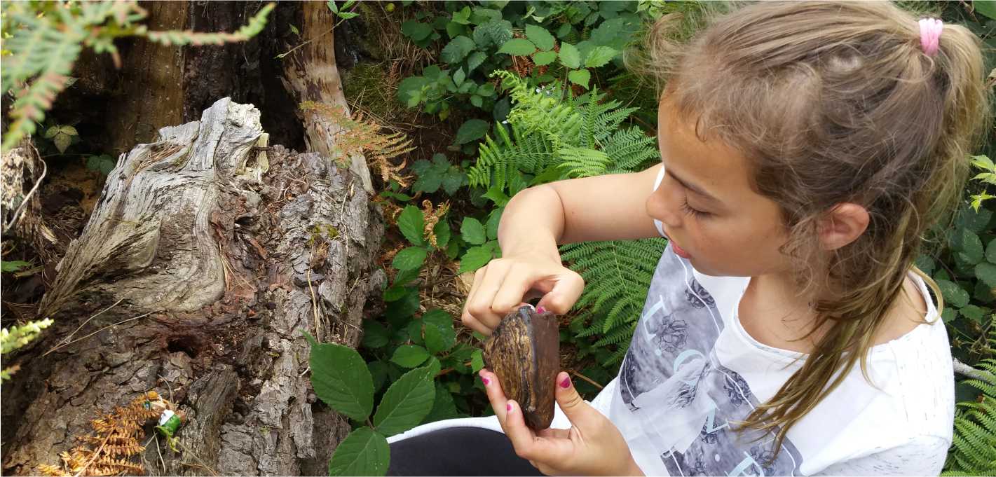 Chasse au trésor - Nolimit Aventure Nemours - parc de ...